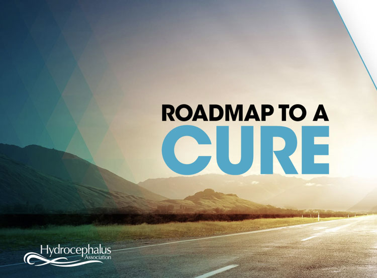 roadmap-to-a-cure_#s1