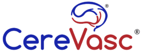 CereVasc-Logo-300x110